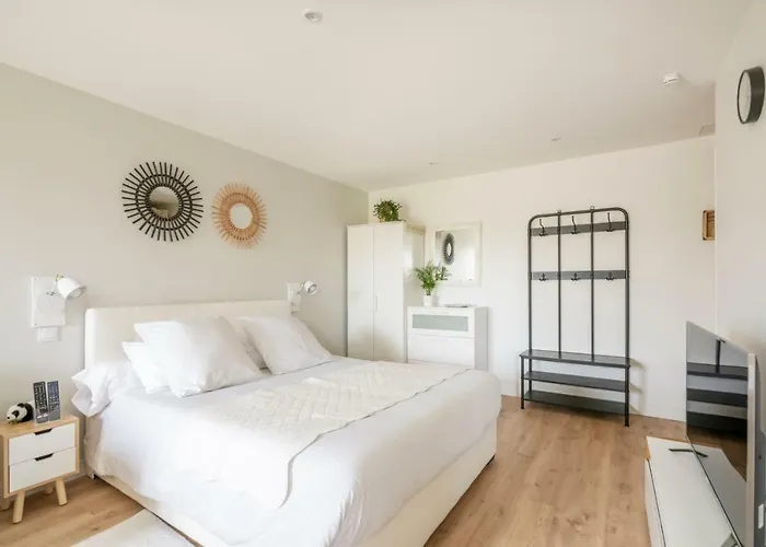 Apartamento Confort O Nico-dormiratoulouse *